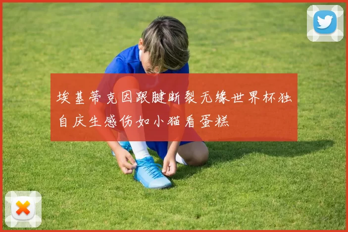 埃基蒂克因跟腱断裂无缘世界杯独自庆生感伤如小猫看蛋糕