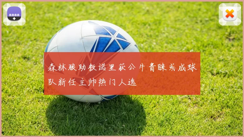 森林狼助教诺里获公牛青睐或成球队新任主帅热门人选